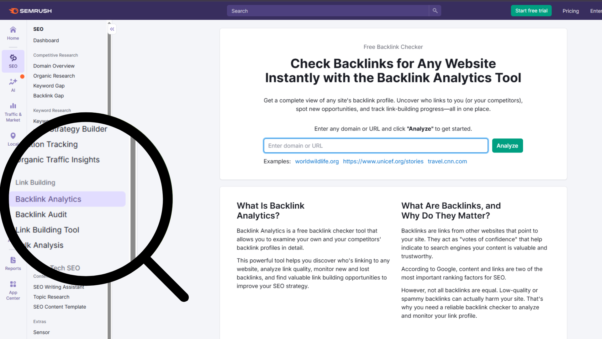 Backlink-Analytics